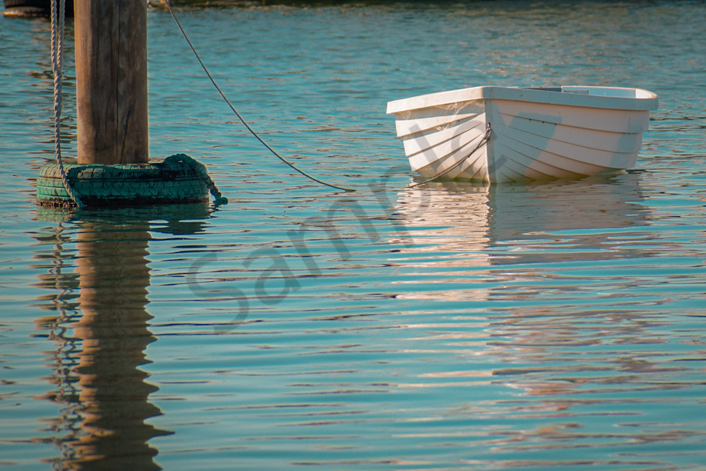 June 2024 423 Photography Art | Photos By Regan