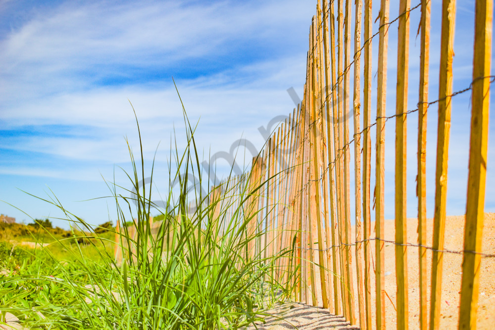 June 2024 396 Photography Art | Photos By Regan