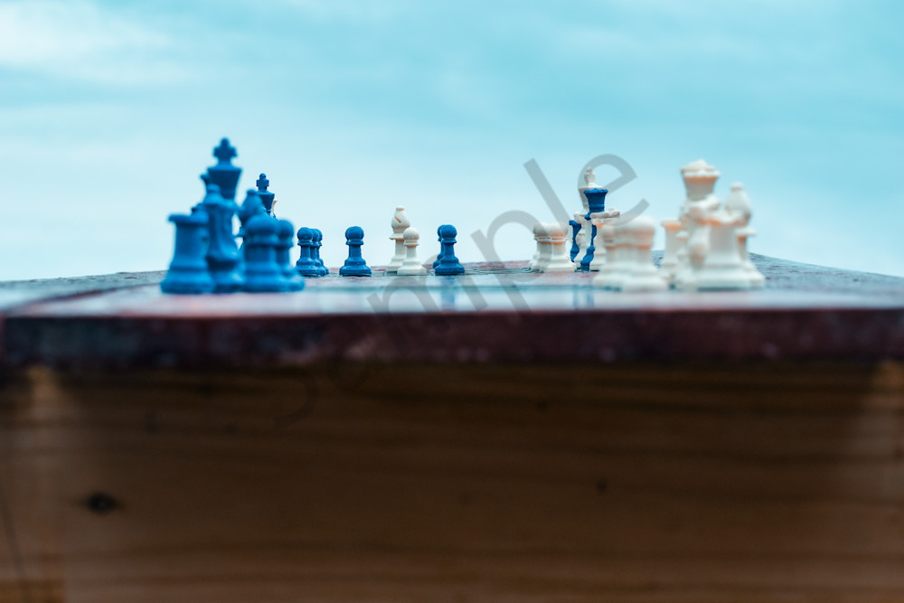 June 2024 455 Photography Art | Photos By Regan