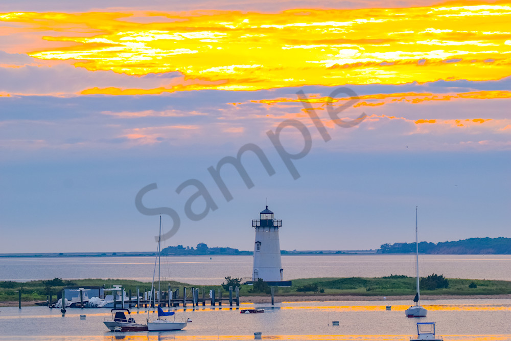 June 2024 463 Photography Art | Photos By Regan