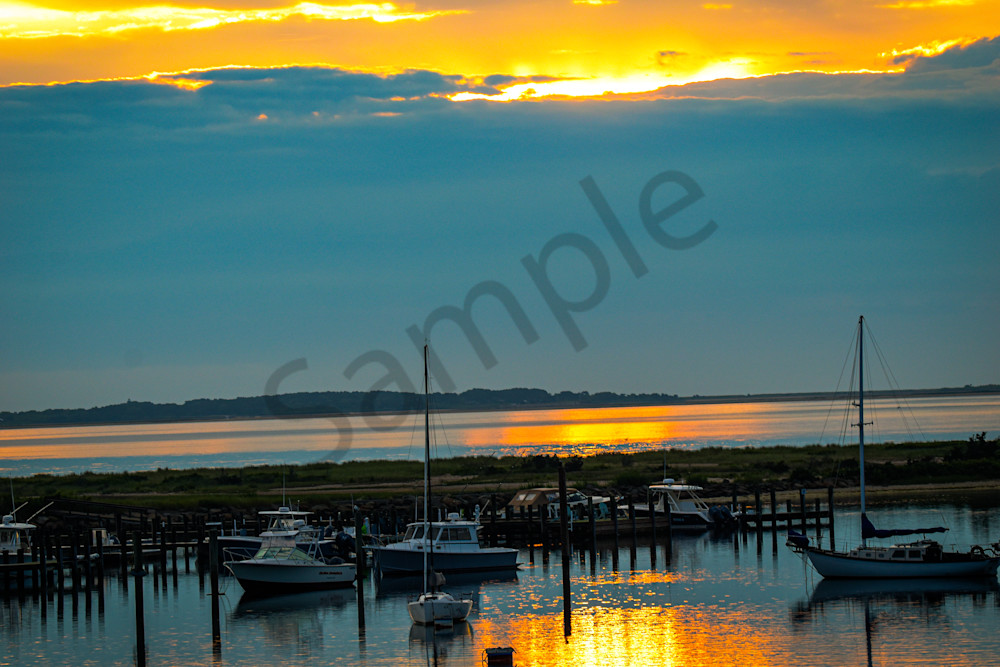 June 2024 492 Photography Art | Photos By Regan