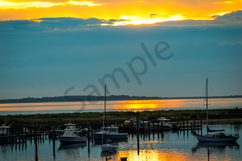 June 2024 494 Photography Art | Photos By Regan