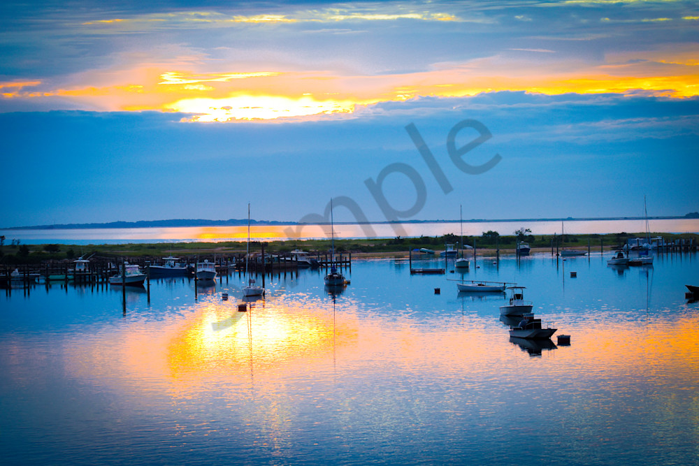 June 2024 508 Photography Art | Photos By Regan