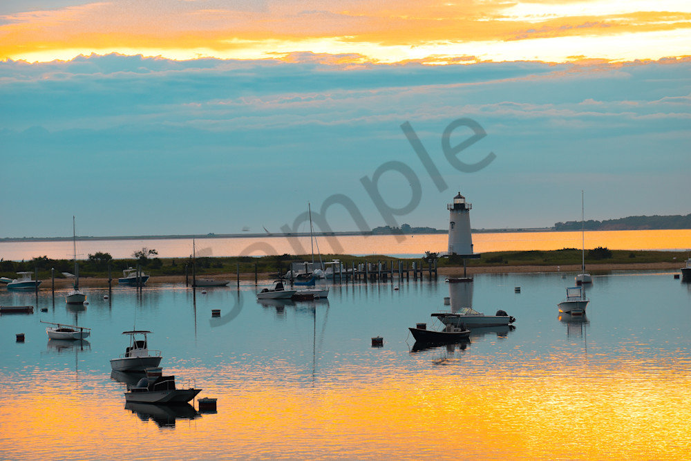 June 2024 512 Photography Art | Photos By Regan