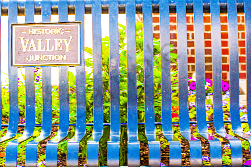 June 2024 781 Photography Art | Photos By Regan