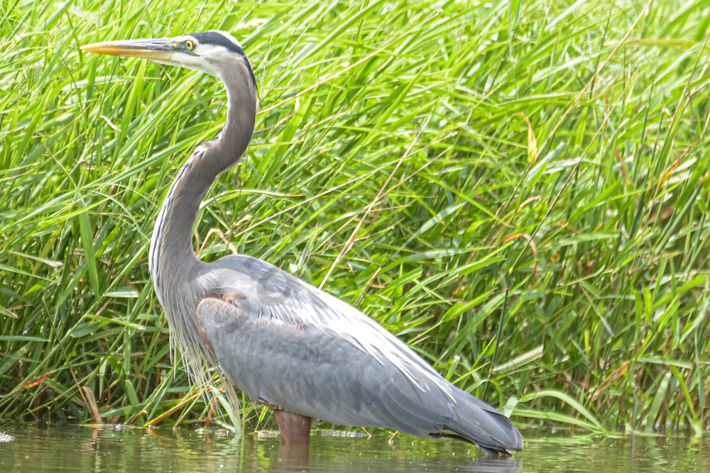 June 2025 134 Photography Art | Photos By Regan