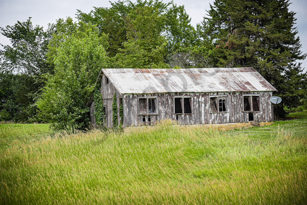 June 2025 40 Photography Art | Photos By Regan