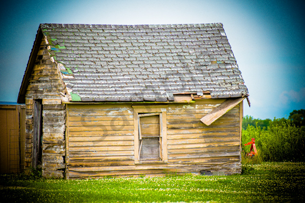 June 2025 41 Photography Art | Photos By Regan