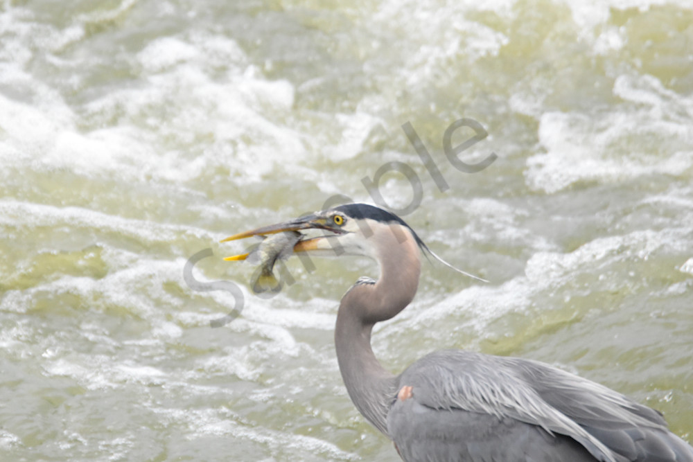 June 2025 275 Photography Art | Photos By Regan