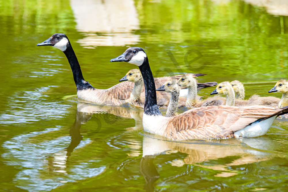 June 2025 246 Photography Art | Photos By Regan