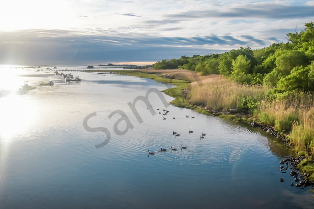 June 2025 560 Photography Art | Photos By Regan