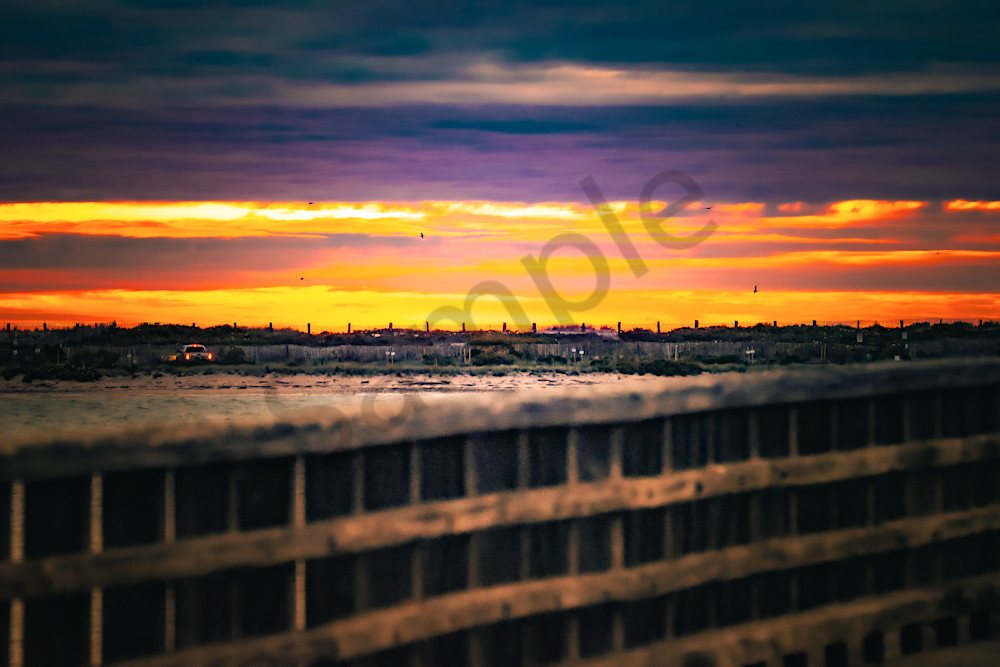 June 2025 700 Photography Art | Photos By Regan