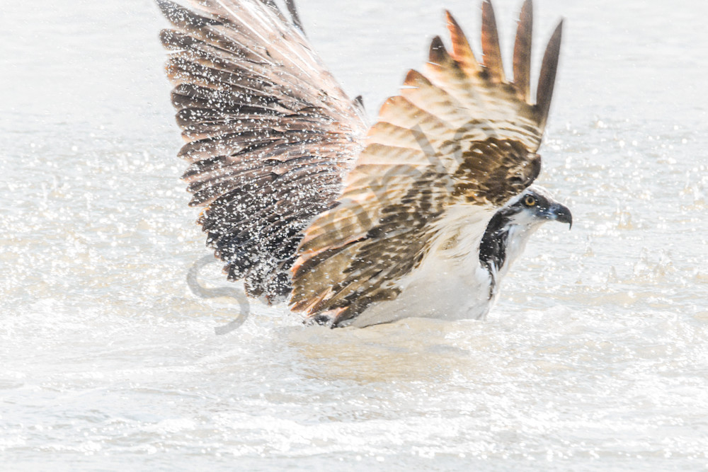 March 2024 38 Photography Art | Photos By Regan