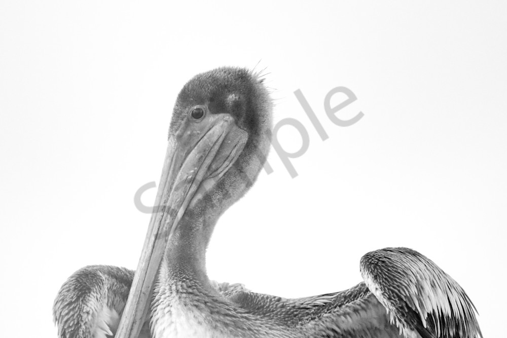 March 2024 510 Photography Art | Photos By Regan