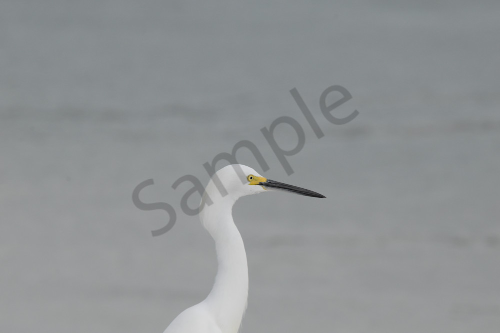 March 2024 369 Photography Art | Photos By Regan