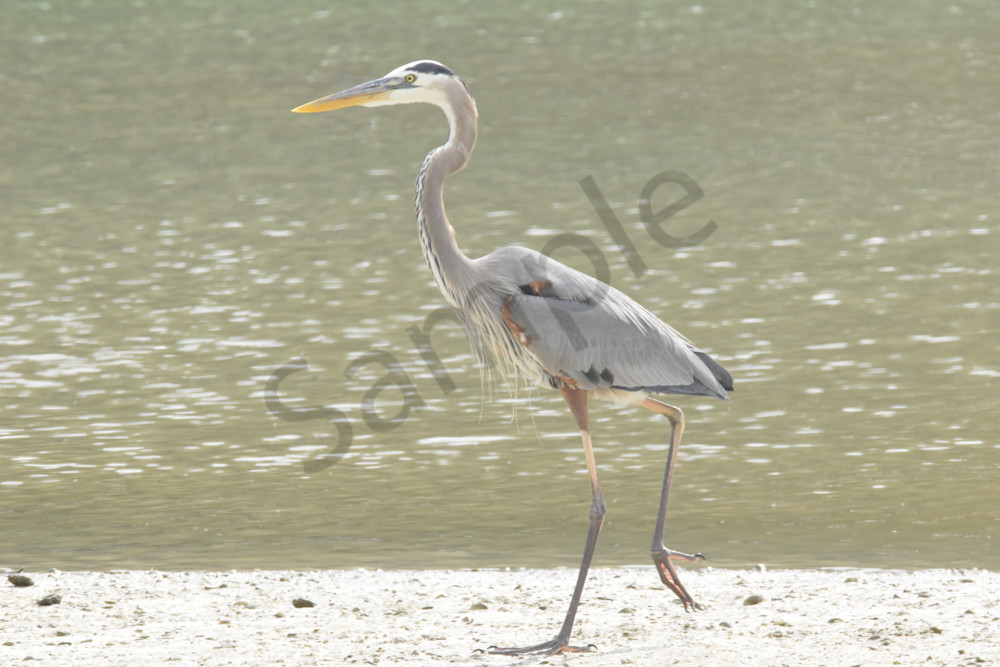 March 2024 146 Photography Art | Photos By Regan