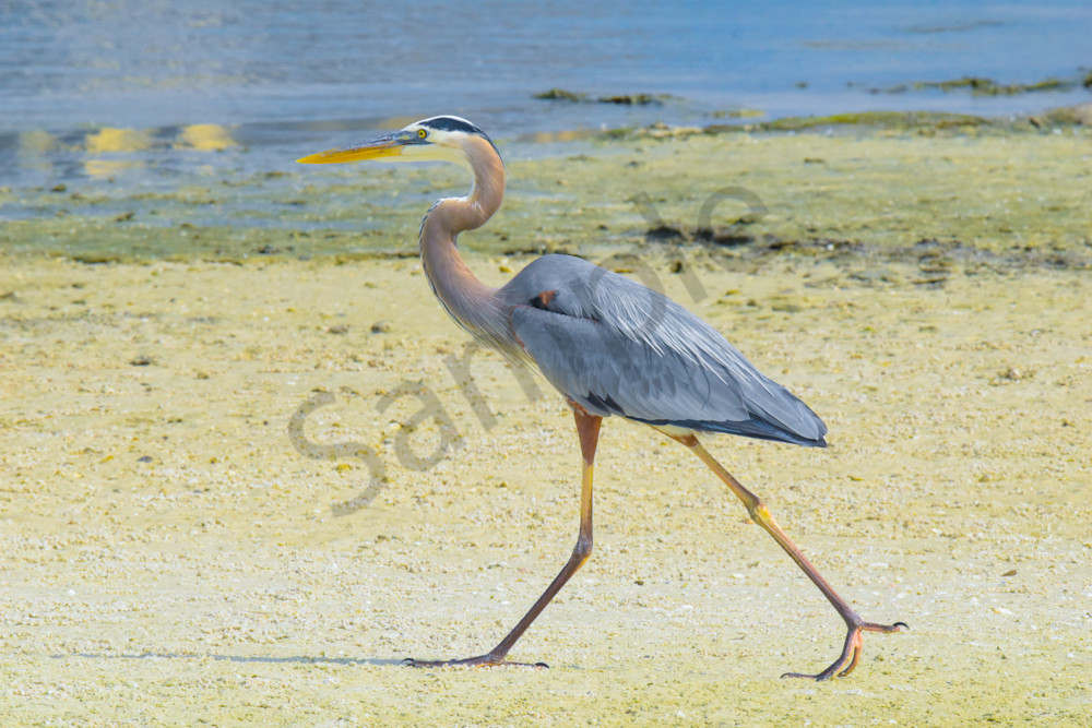 March 2024 114 Photography Art | Photos By Regan