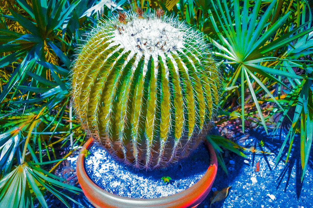 March 2024 540 Photography Art | Photos By Regan