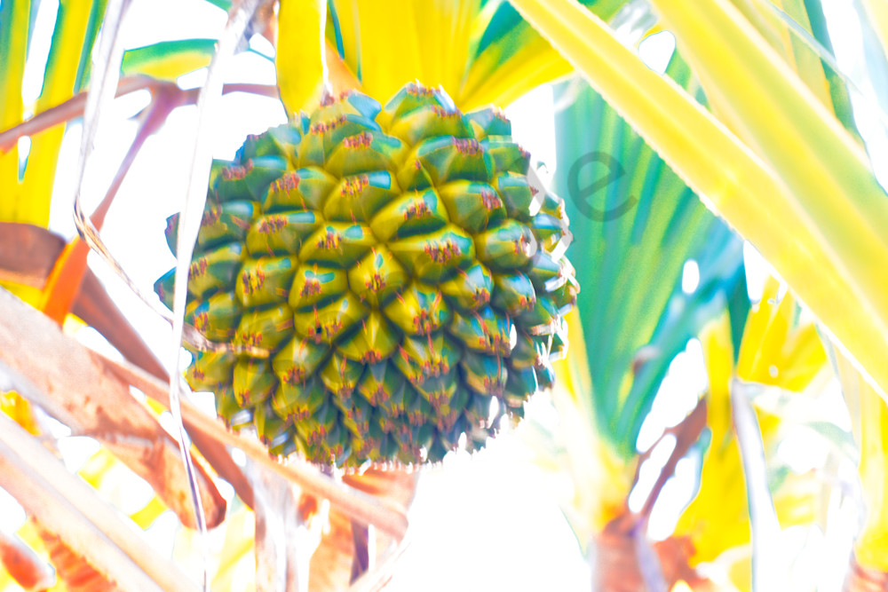 March 2024 583 Photography Art | Photos By Regan