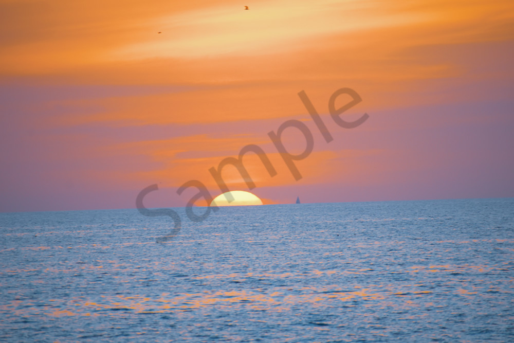 March 2024 589 Photography Art | Photos By Regan