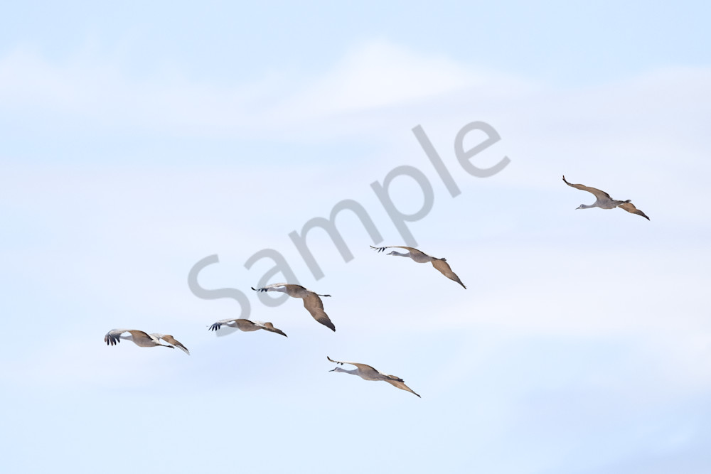 March 2024 796 Photography Art | Photos By Regan