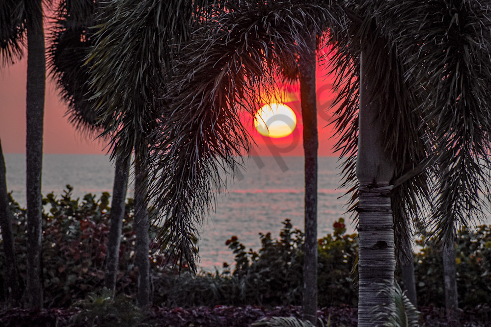 March 2024 598 Photography Art | Photos By Regan