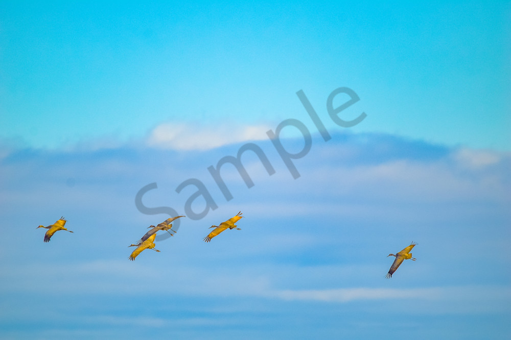 March 2024 793 Photography Art | Photos By Regan