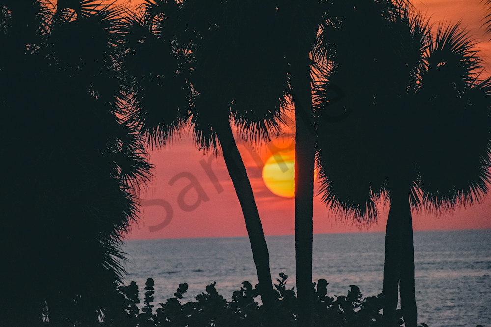 March 2024 604 Photography Art | Photos By Regan