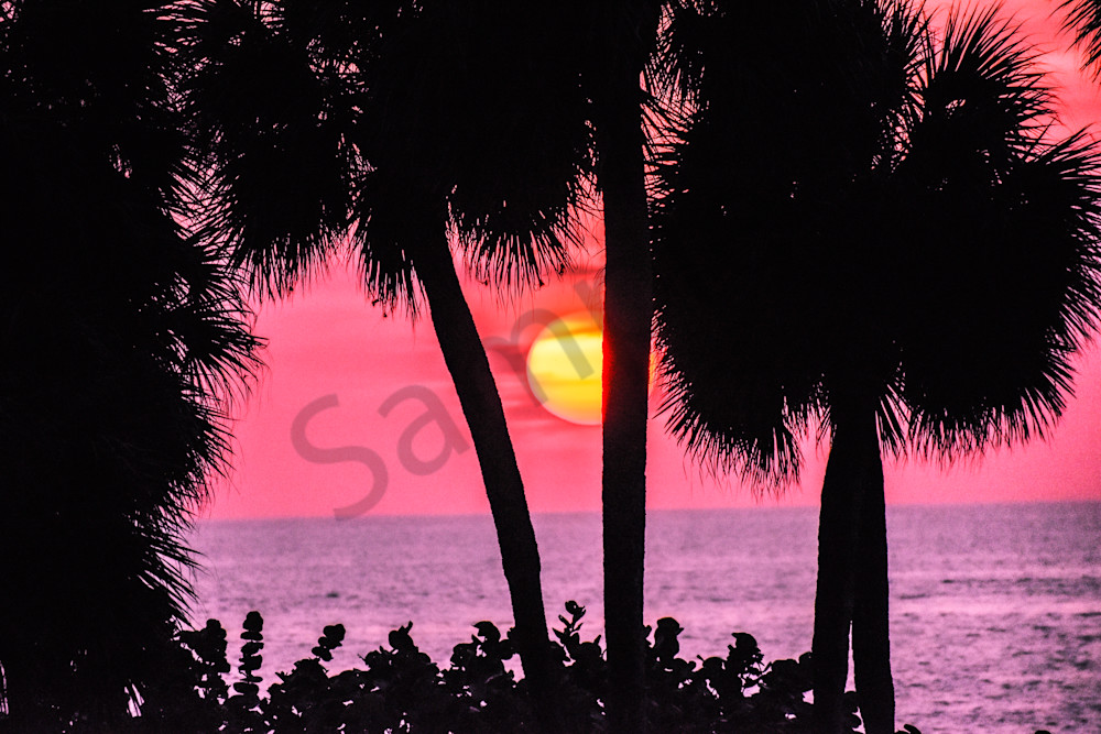 March 2024 601 Photography Art | Photos By Regan