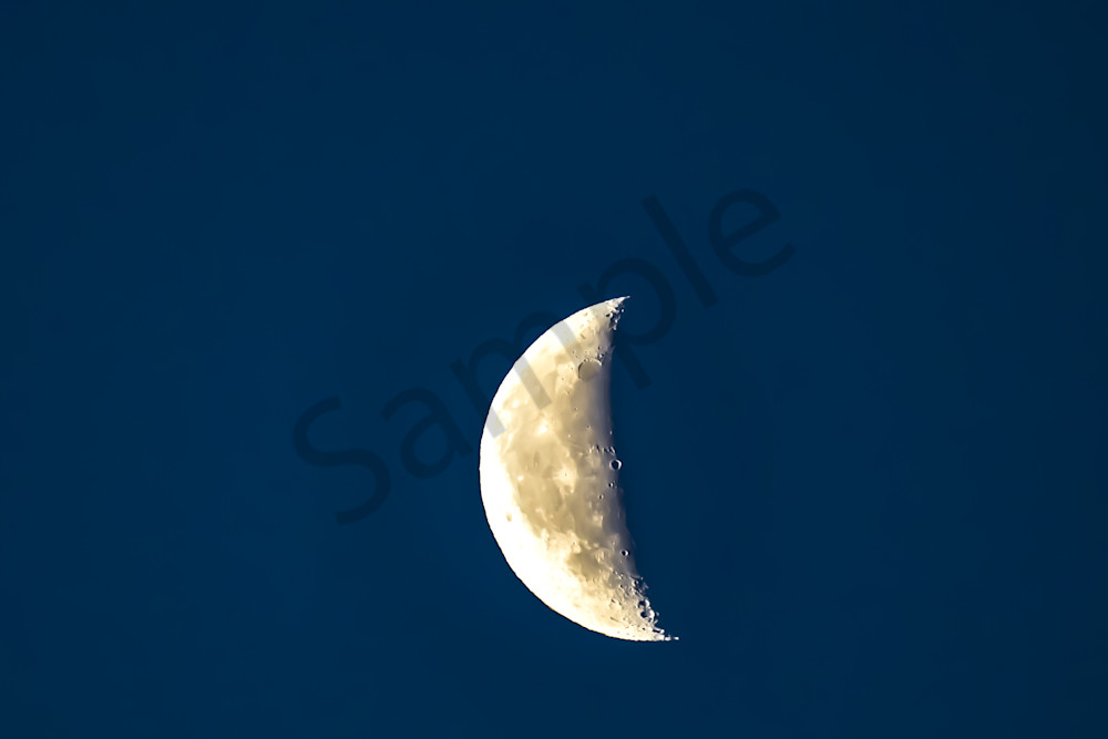 March 2024 815 Photography Art | Photos By Regan