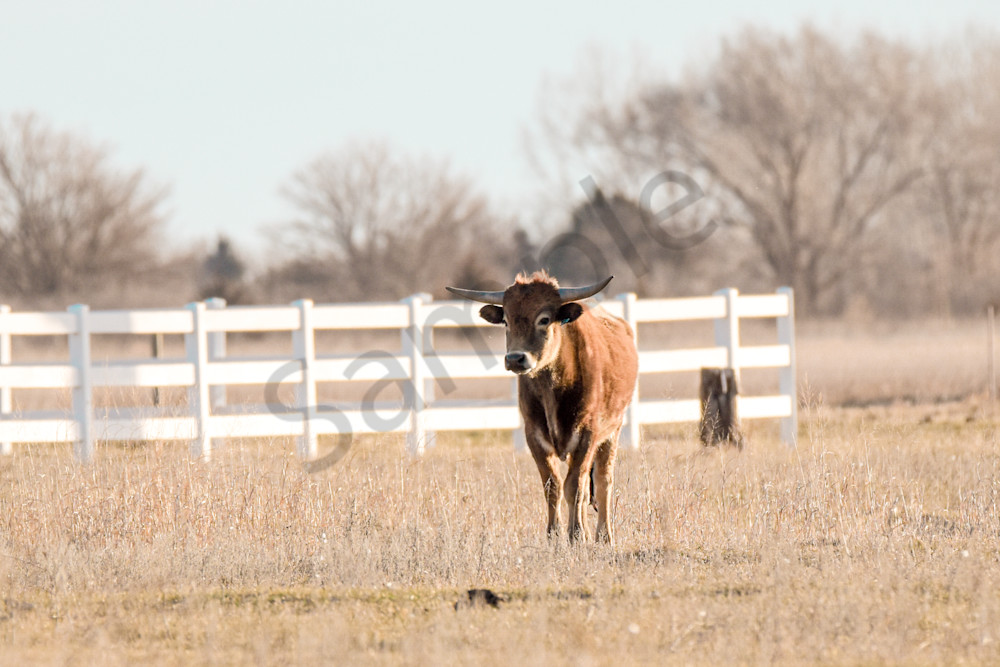 March 2024 809 Photography Art | Photos By Regan