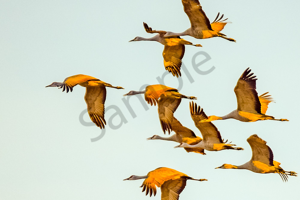 March 2024 826 Photography Art | Photos By Regan