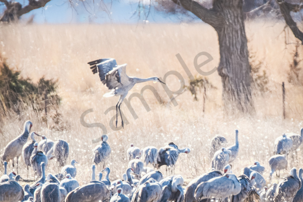 March 2024 843 Photography Art | Photos By Regan