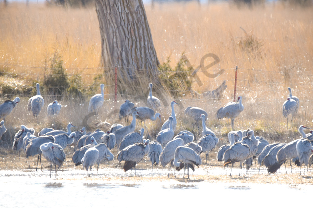 March 2024 840 Photography Art | Photos By Regan