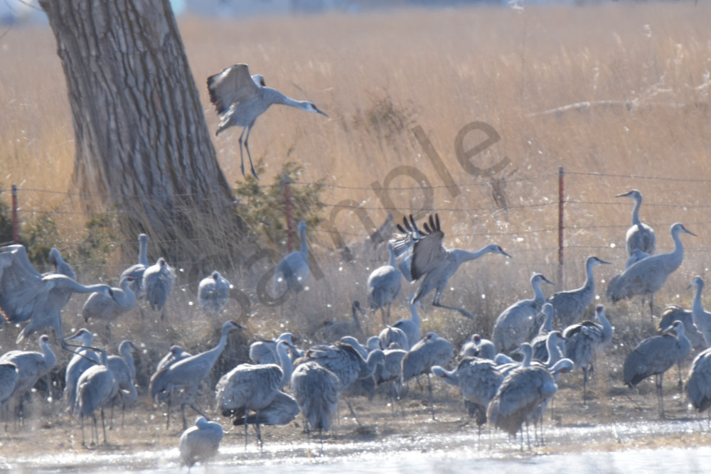 March 2024 847 Photography Art | Photos By Regan