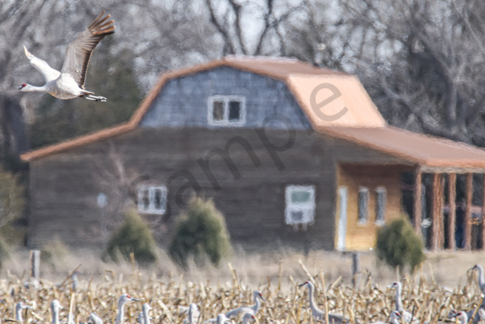 March 2024 892 Photography Art | Photos By Regan