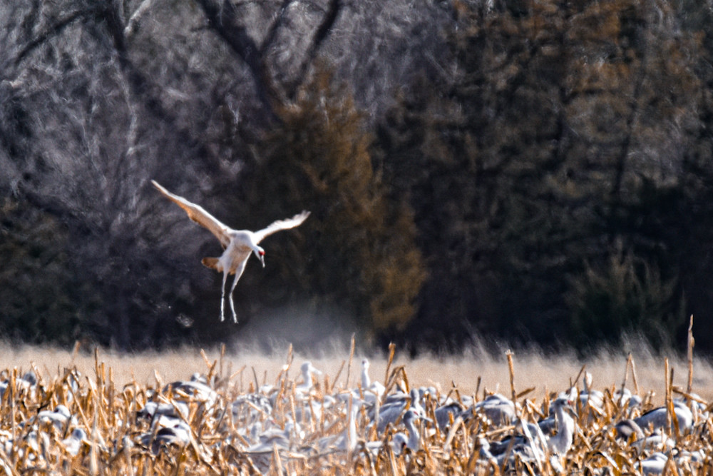 March 2024 895 Photography Art | Photos By Regan