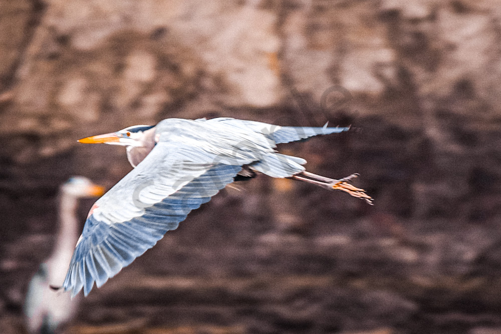 March 2025 25 Photography Art | Photos By Regan