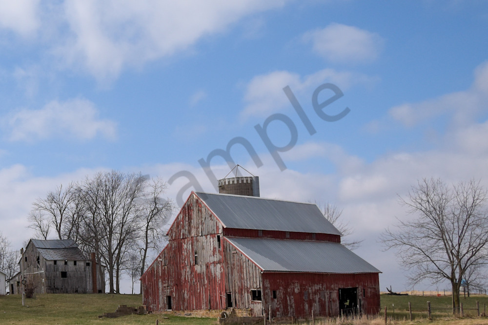 March 2025 87 Photography Art | Photos By Regan