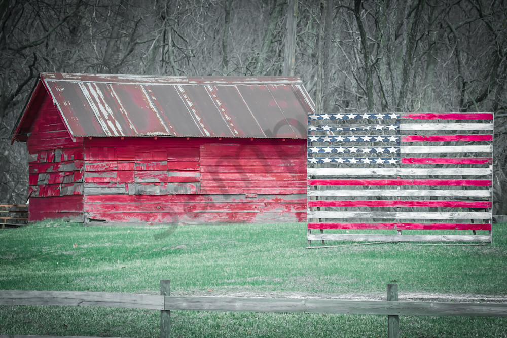 March 2025 65 Photography Art | Photos By Regan