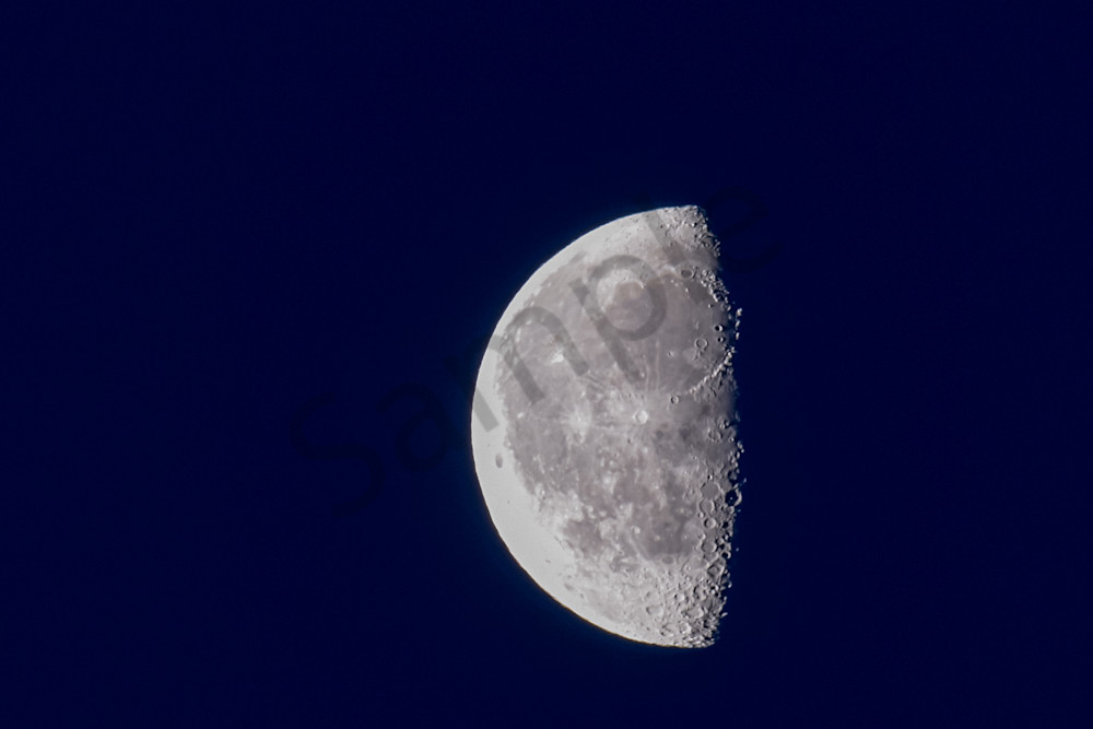 March 2025 105 Photography Art | Photos By Regan