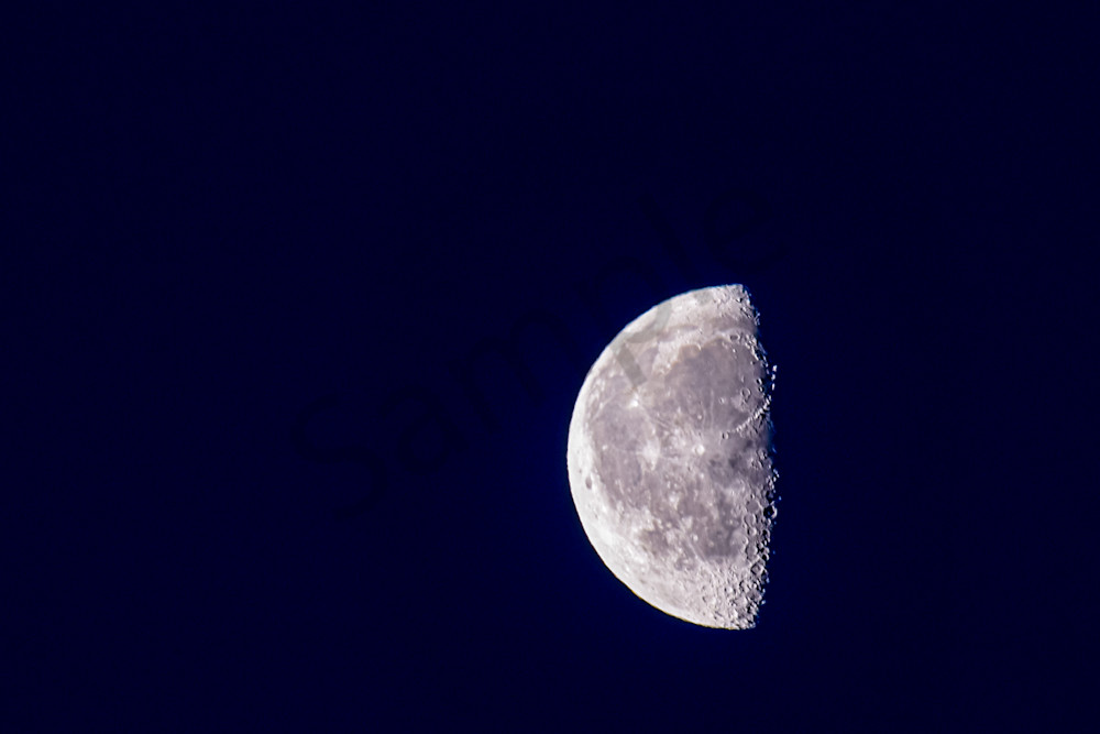 March 2025 106 Photography Art | Photos By Regan