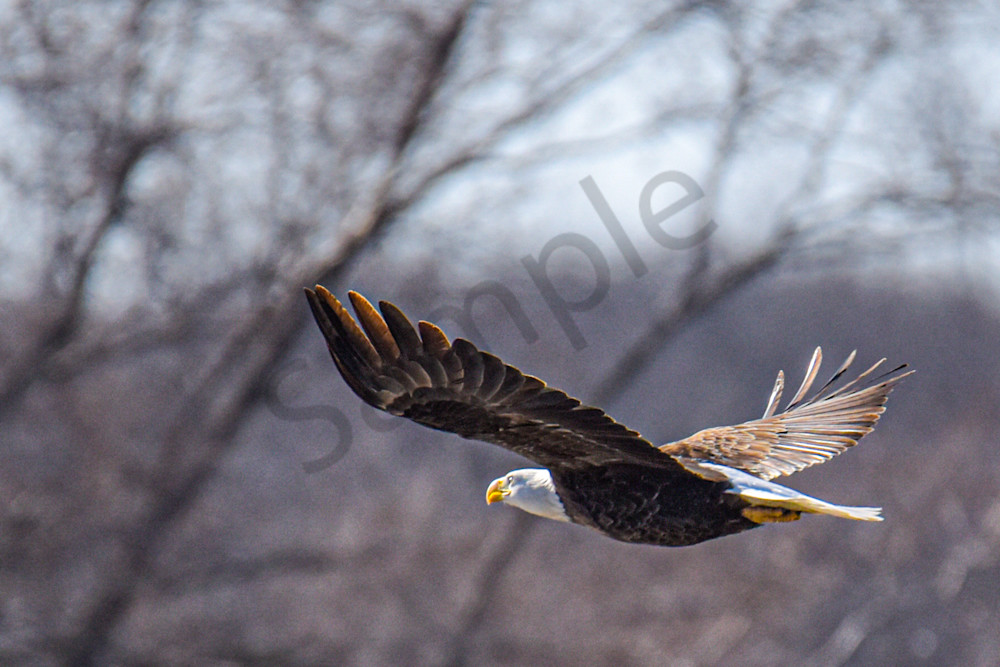 March 2025 139 Photography Art | Photos By Regan