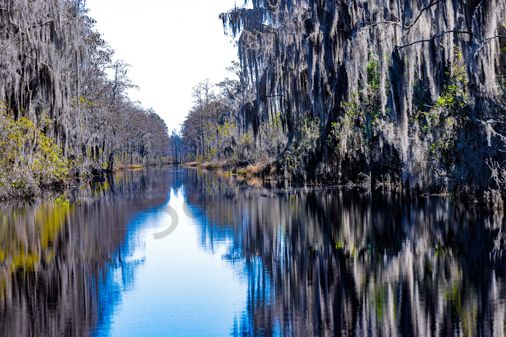 March 2025 295 Photography Art | Photos By Regan