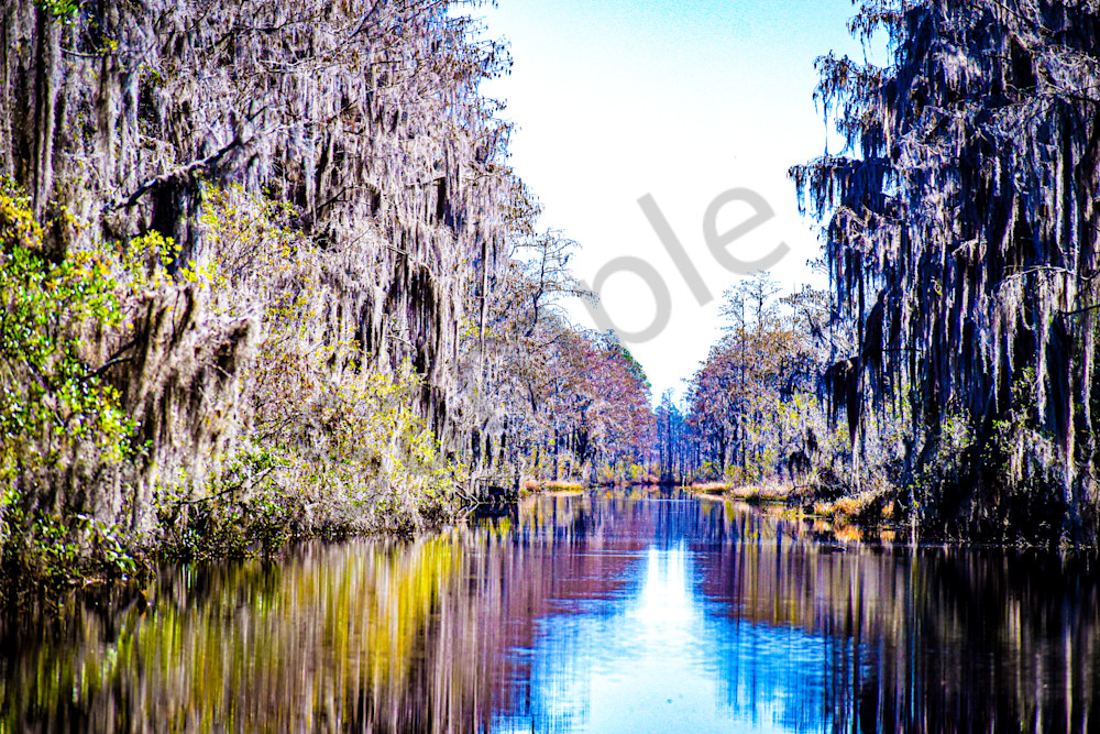 March 2025 298 Photography Art | Photos By Regan