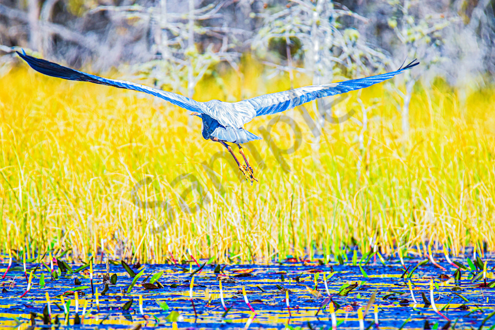 March 2025 301 Photography Art | Photos By Regan