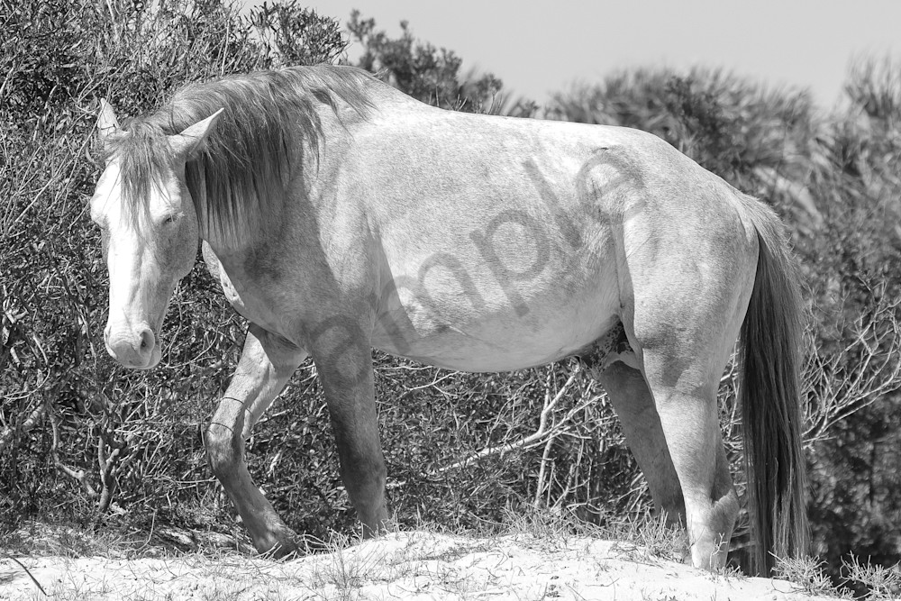 March 2025 397 Photography Art | Photos By Regan