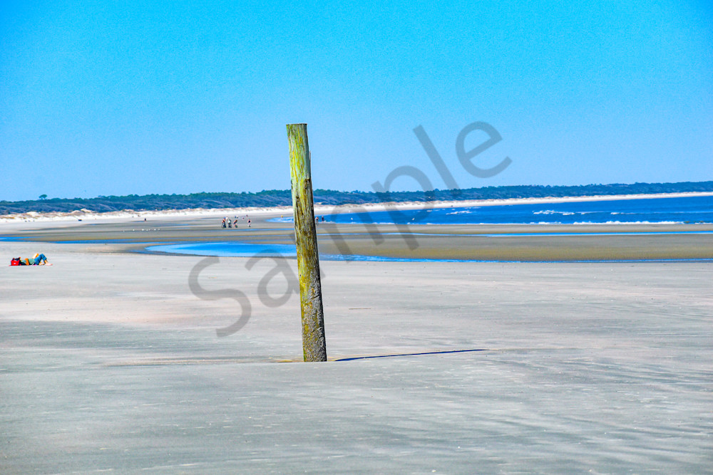 March 2025 372 Photography Art | Photos By Regan