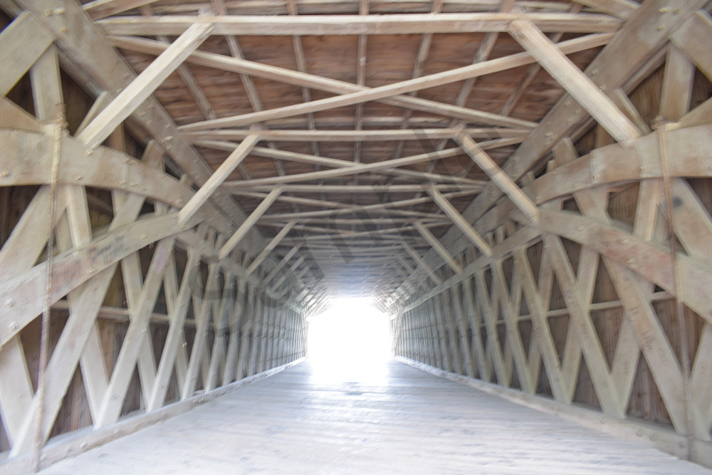 May 2024 85 Photography Art | Photos By Regan