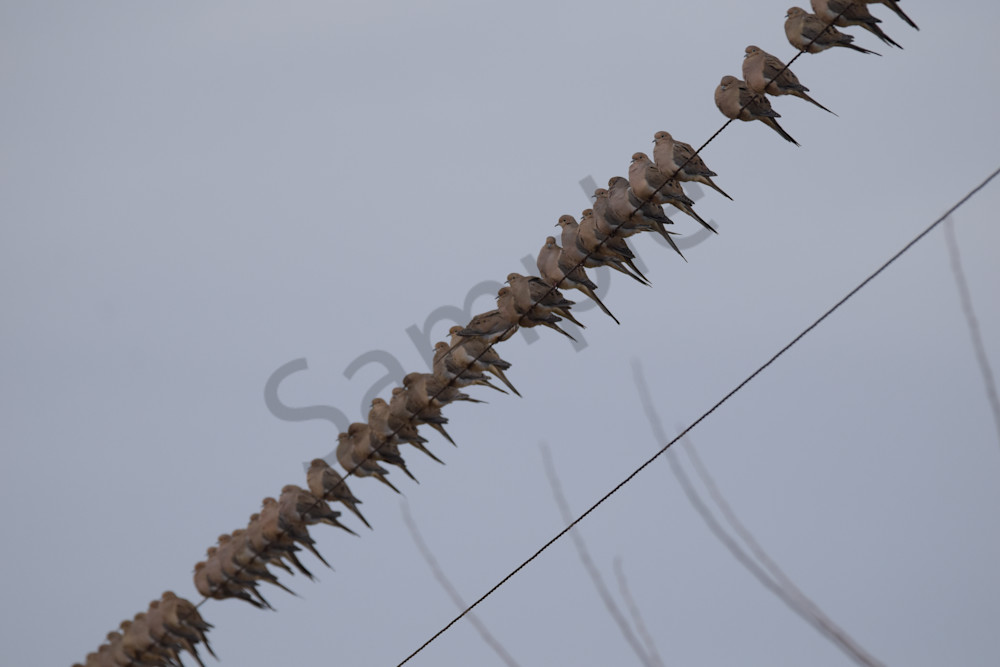 November 2024 227 Photography Art | Photos By Regan